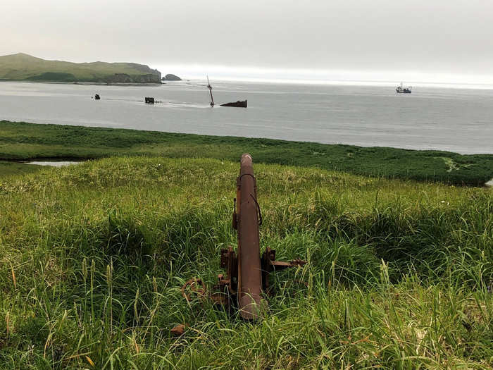 The team also surveyed Kiska, which is still full of WWII wreckage. They found these cannons and another sunken warship off the coast.