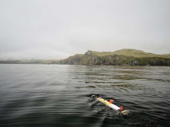 When they found promising images from the AUVs, the team sent out divers to scan for more clues.