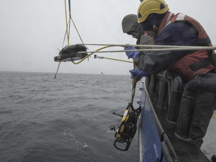 The expedition was part of Project Recover, a collaborative partnership between the University of Delaware, the University of San Diego, and the US Navy to find and document the underwater resting places of American soldiers from World War II.