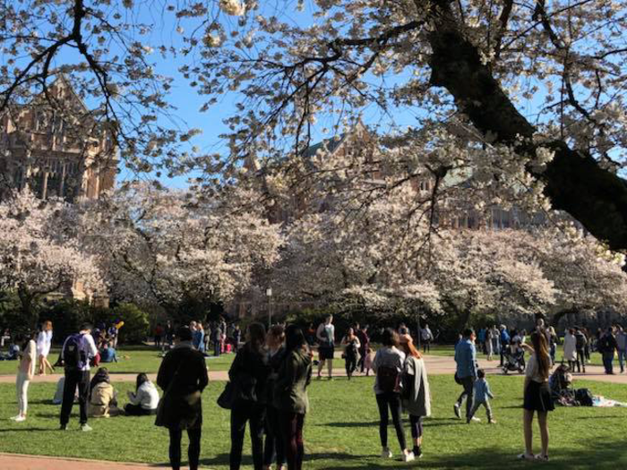 University of Washington