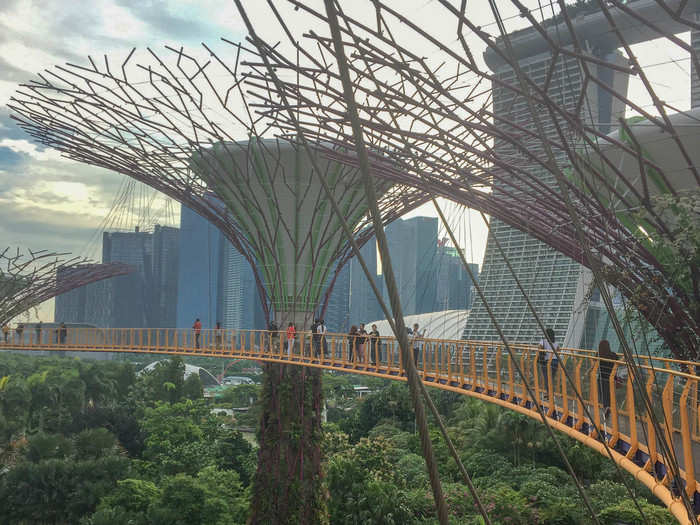 Since I was there late in the day, there was practically no line for the elevator to the suspended walkway that circles the Supertrees. The view is spectacular at the top.