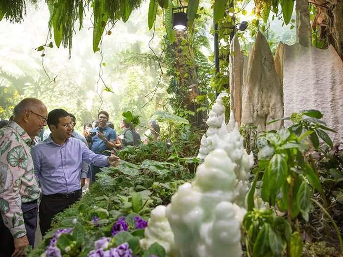 One of the newest sections of Cloud Forest is the "Secret Garden," which features 7,000 plants of 135 species usually located in limestone forests and caves.