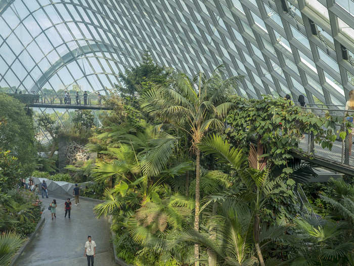 As you get closer to the bottom, you reach the "tree top walk" where you feel like you are literally walking on the conservatory