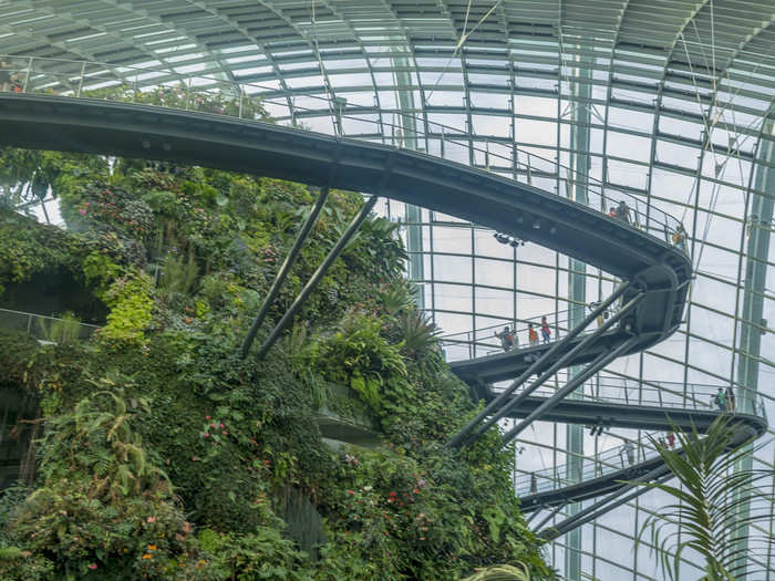 The walkway gives you views of the different plants at each height, as well as excellent views of the Supertree Grove and the Singapore skyline.