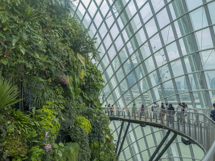 The Cloud Forest conservatory feels as much an architectural marvel as a natural one. After seeing the waterfall and the top of the "mountain," I walked on a walkway that winds around the whole building to the bottom.