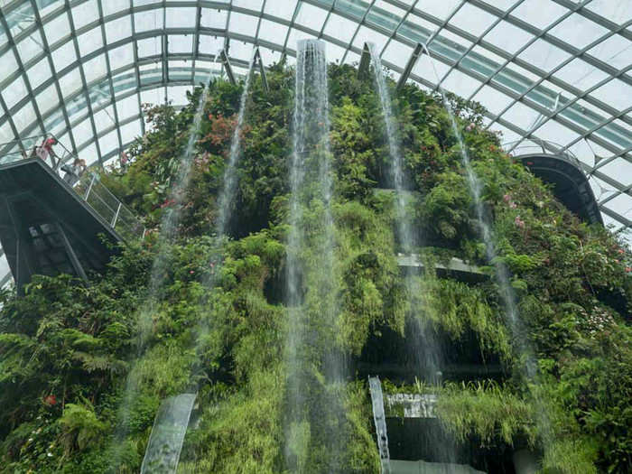 Such climates are characterized by persistent low cloud cover. Cloud Forest mimics this with periodic misting and the centerpiece of biodome, a 115 foot-tall "mountain" with the world