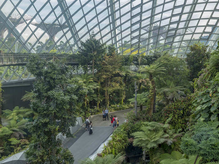 The Cloud Forest conservatory is smaller than the Flower Dome, but it might be more impressive. Its climate mimics that of mist-covered tropical highlands and contains 72,000 plants.