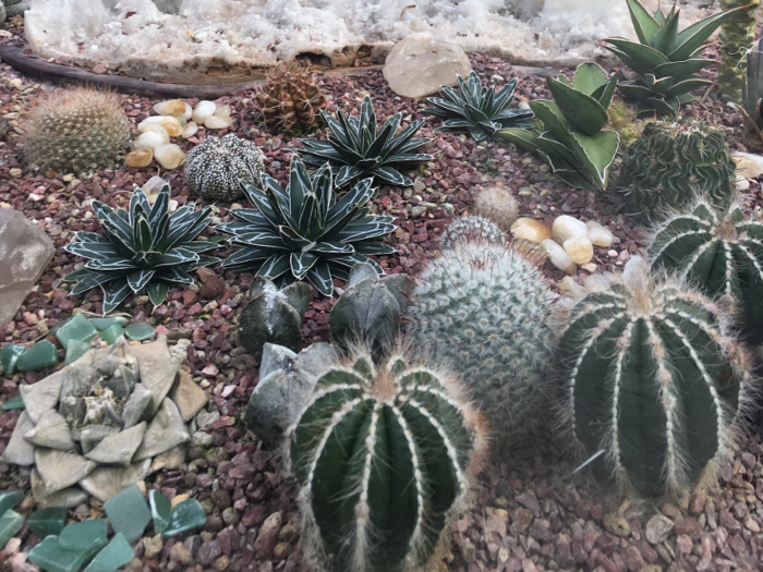 The Flower Dome is maintained to have a semi-arid, sub-tropical climate ideal for plants from places like the Mediterranean, California, Australia, Chile, and South Africa.