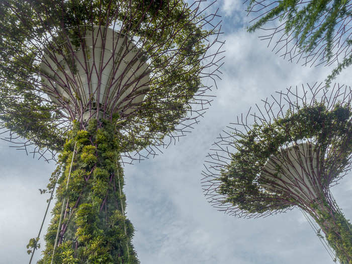 Even the smaller Supertrees are impressive. The 