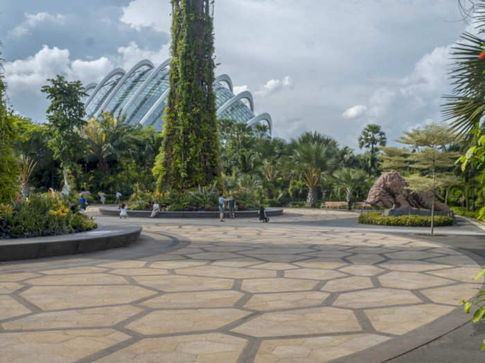 When you enter the Gardens By The Bay, you can see some of the smaller Supertrees at the entrance, as well as the biodomes. There are six scattered outside of the main grove.