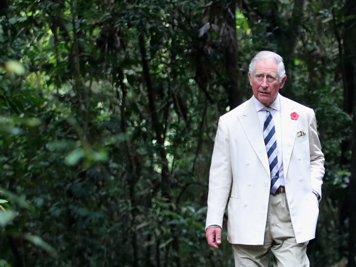 The Prince of Wales has long advocated for environmental conservation, architectural preservation, and alternative medicine. He