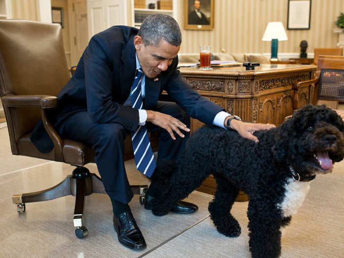 Bo and Sunny were so popular that they apparently had official White House schedules for all of their appearances.