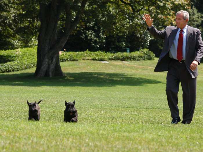 Bush also had two Scottish Terriers named Barney and Miss Beazley, who were separated in age by four years.