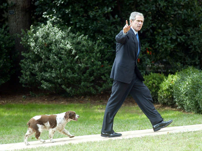 George W. Bush and his first dog in the White House, an English Springer Spaniel named Spot, was one of Millie