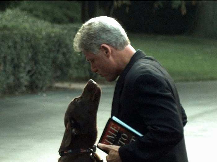 Bill Clinton named his chocolate Labrador retriever Buddy after his great-uncle.