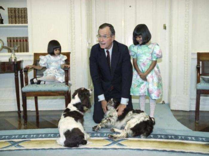 George H.W. Bush had two Springer Spaniels, Millie and Ranger.