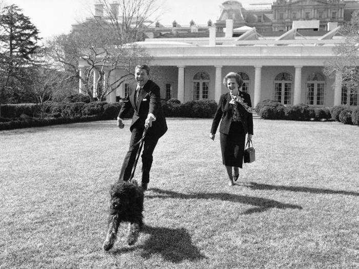 Ronald Reagan had two White House dogs. The one seen here was a Bouvier des Flandres named Lucky that Nancy Reagan received as a gift in 1984.