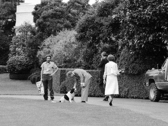 Jimmy Carter had a border collie mix named Grits that was born on the same day Carter was elected president.