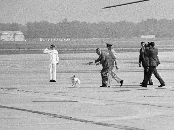 LBJ found his fifth dog, a terrier mix named Yuki, at a Texas gas station on Thanksgiving in 1966.