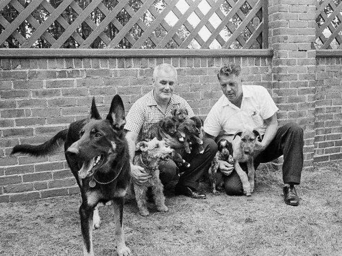 Other than Pushinka, JFK had eight dogs, including his German shepherd named Clipper.