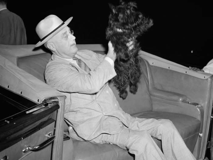 FDR also had a Scottish terrier named Fala that would often accompany the president on his travels.