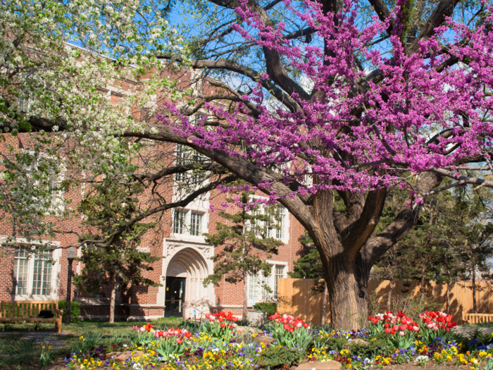 2. University of Oklahoma — Norman, Oklahoma