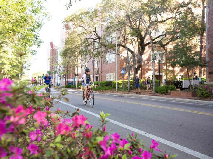 36. University of Florida — Gainesville, Florida