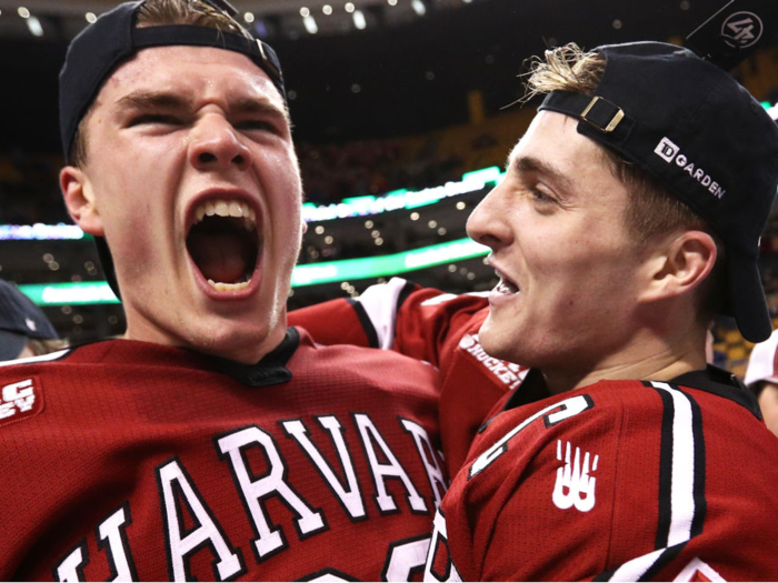 3. Harvard University