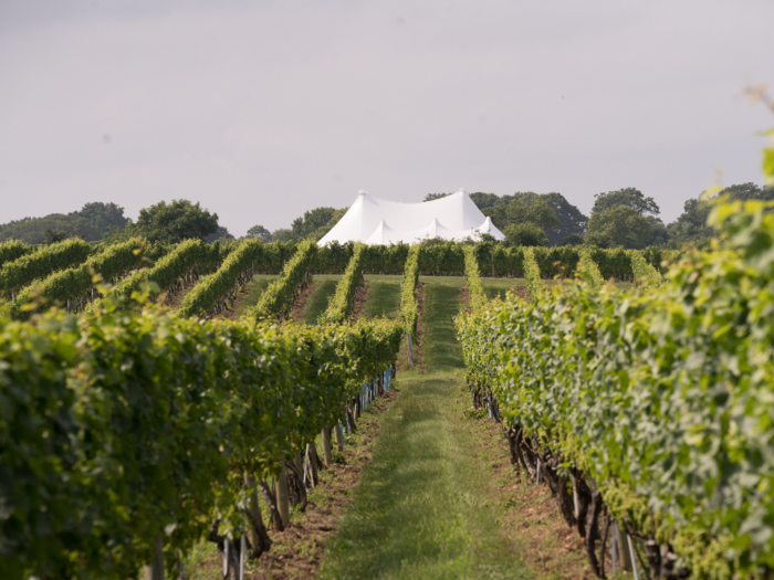 Residents can sip on Hamptons-made wine and rosé cider and rub shoulders with celebrities at the upscale Wolffer Estate Vineyard.