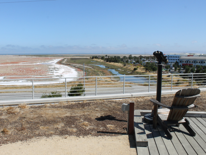 …the rooftop garden, where they can wander among wildflowers, look for Facebook