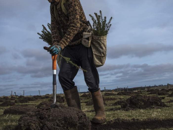 Don Harrison, President of Global Partnerships and Corporate Development, was a prolific tree planter in his native Nova Scotia, Canada