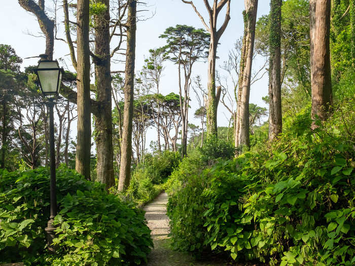 The park was designed as a labyrinth and is full of narrow paths, secret shortcuts, and trees from all over the world, including Sequoias from America, Gingkos from China, Cryptomeria from Japan, ferns from Australia, and succulents from Africa.