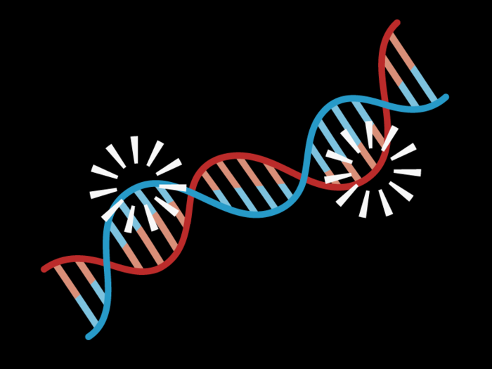 Gene expression goes awry.