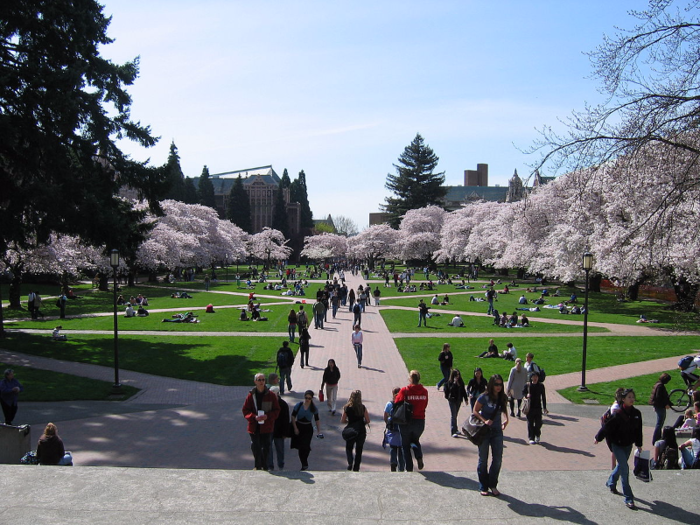 20. University of Washington — Seattle, Washington