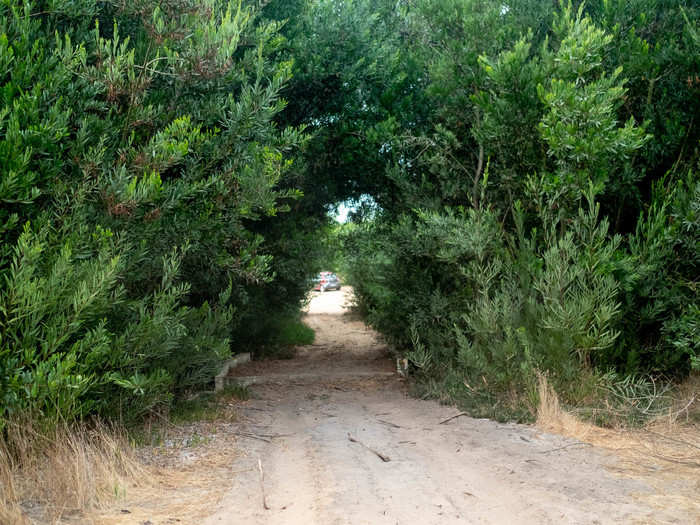 When I saw this sight, I knew I was home free. You can see the car lurking behind those trees. I high-tailed it out of there back to the town.