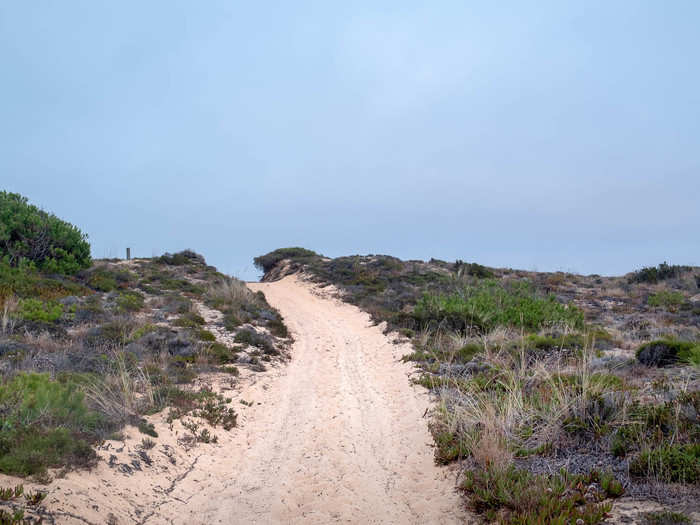 As I started the hike back to the car, the sky looked even more stormy. I