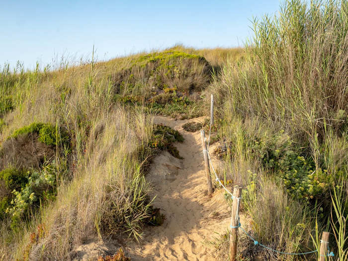 The road narrowed to a small sand path, set on both sides by wild grasses and a bit of fencing to mark the right direction. I hiked for a little over a mile and then ....