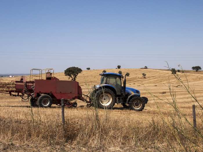 The most incredible part of visiting Alentejo is the way that the farmland abuts the coastline. At the suggestion of the hostel owner, I headed down a sand road that was supposed to lead me to a wild beach called Praia do Brejo Largo. It passed between two fields. When my car got stuck in the sand, a farmer in a tractor helpfully pulled me out.