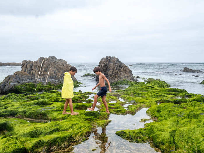 After seeing Almograve, I understood why they would make the trek. The coastline in Alentejo is far more wild than in Sagres or further east in the Algarve. The small submerged rocks teem with sea life.