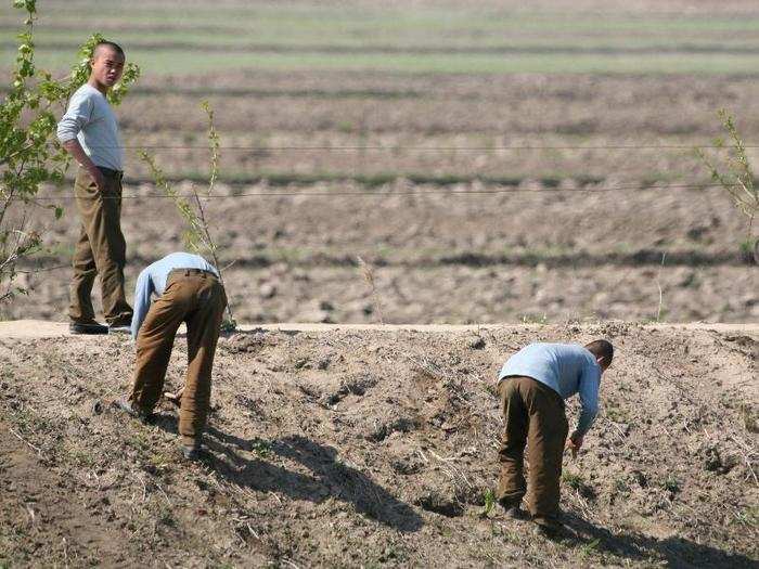 Meanwhile, North Korea grappled with one of its worst humanitarian crises in its history from 1995 to 1998. The fall of the Soviet Union in 1991 left the country without one of its biggest sources of fertilizer, causing crop production to plummet. A series of floods made everything worse.