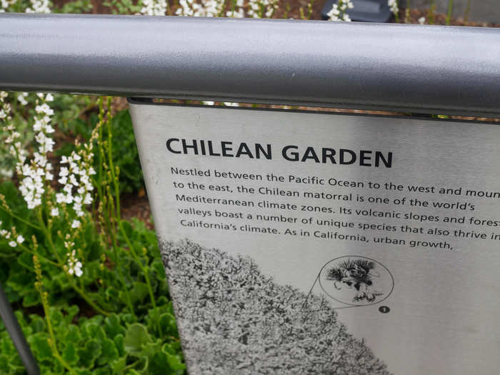 Attached to the railings that line the walking paths are metal plates detailing the origin and nature of the plant species bedded in the gardens.