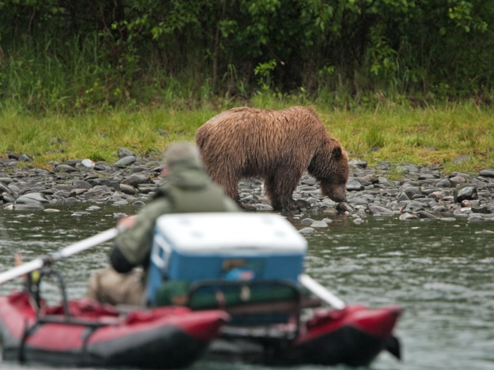 Some other adventures guests can choose from include river rafting, salmon and trout fishing, beach combing, and downhill sledding on glaciers — any time of the year.