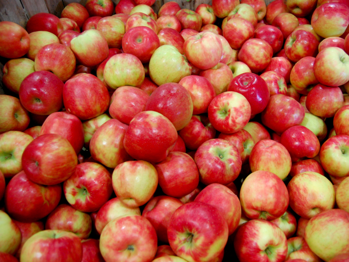 Employees can also bite into free apples on campus.