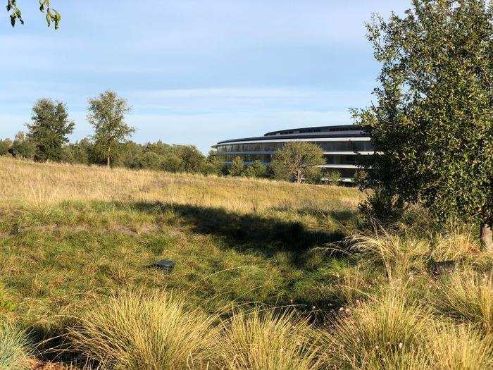 7:58 AM: You can see the edge of Apple Park