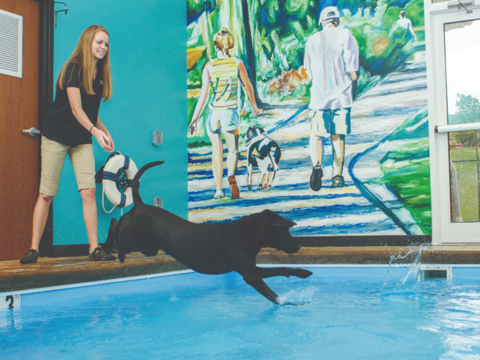 Even furry guests have their pick of activities at Nemacolin. The Wooflands Pet Resort and Spa offers luxury boarding, doggy daycare, grooming, and training.