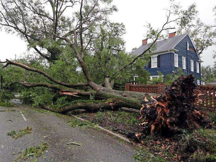 Home Repair: Mennonite Disaster Service