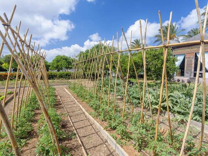 Anything not taken from the vegetable gardens is sourced from farms within a mile of the hotel.