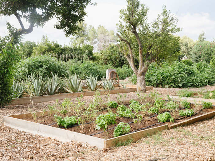 The property has a vegetable garden that provides most of the herbs, veggies, and salad for the on-site restaurant.