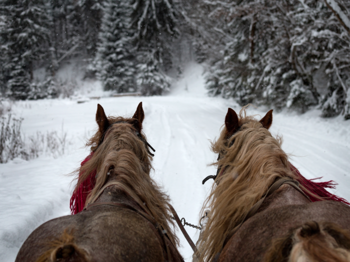 The resort even offers wintertime horse-drawn sleigh and carriage rides ranging from $50 to $105 per couple.