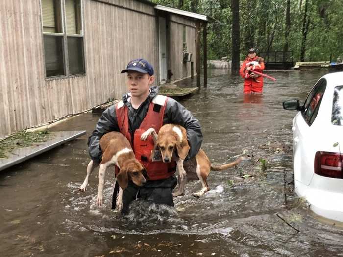 Members of Coast Guard Shallow-Water Response Boat Team 3 help pets stranded by floodwater caused by Hurricane Florence near Riegelwood, North Carolina.